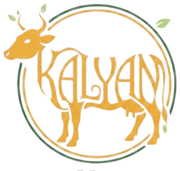 Kalyan Wellness